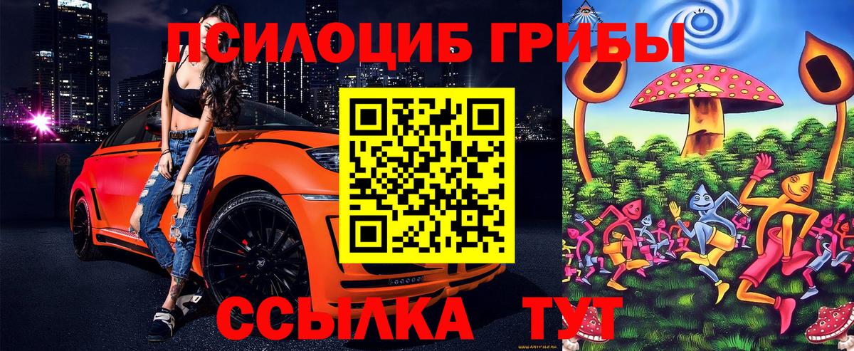 Галлюциногенные грибы Cubensis Ялта
